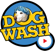 Dog Wash